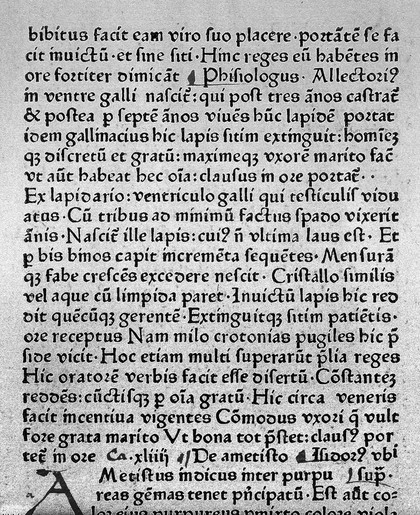 Vincentius Bellovacensis, Speculum Naturale