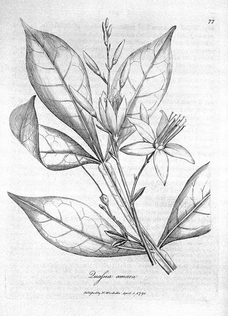 W.M. Woodville, Medical Botany, vol. 2