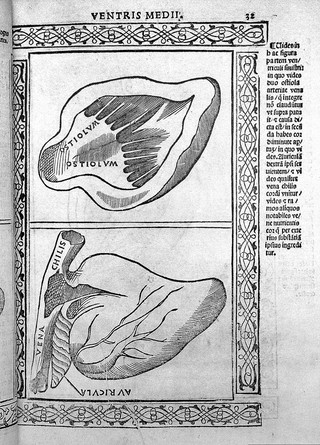 Jacopo Berengarius da Carpi, Isagoge breves