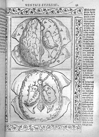 Jacopo Berengarius da Carpi, Isagoge breves