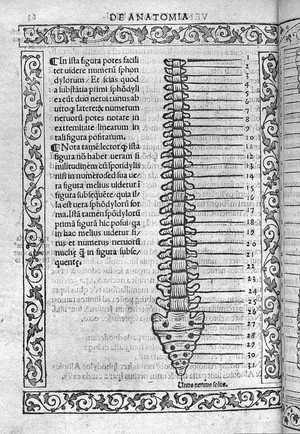 view Jacopo Berengarius da Carpi, Isagoge breves