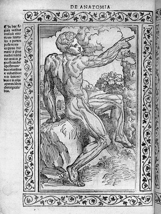 Jacopo Berengarius da Carpi, Isagoge breves