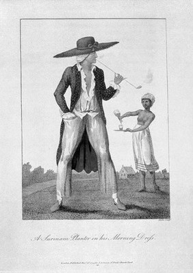 Narrative of a five years' expedition, against the revolted negroes of Surinam, in Guiana, on the wild coast of South America, from the year 1772, to 1777. Elucidating the history of that country, and describing its productions, viz. quadrupedes, birds, fishes, reptiles, trees, shrubs, fruits, & roots; with an account of the Indians of Guiana, & Negroes of Guinea / by Captn. J.G. Stedman ; illustrated with 80 elegant engravings from drawings made by the author.