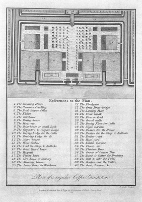 Narrative of a five years' expedition. J. Stedman, 1796.