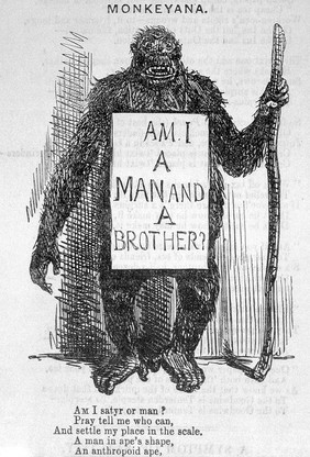 Punch, 18 May 1861, 'Monkeyana'