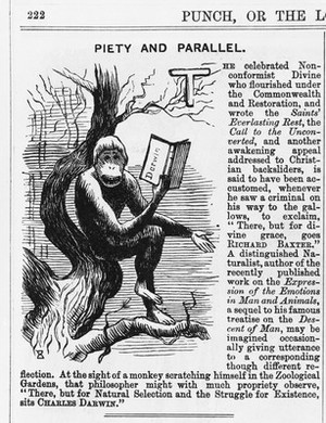 view Punch, 30 November 1872, 'Piety and Parallel