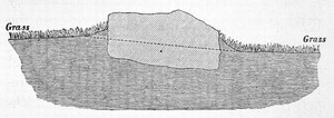 view C. Darwin, The Formation of Vegetable Mould