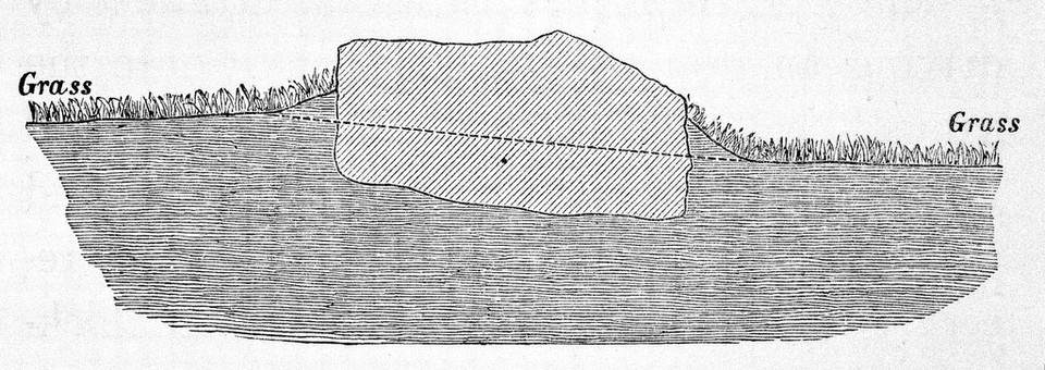 C. Darwin, The Formation of Vegetable Mould