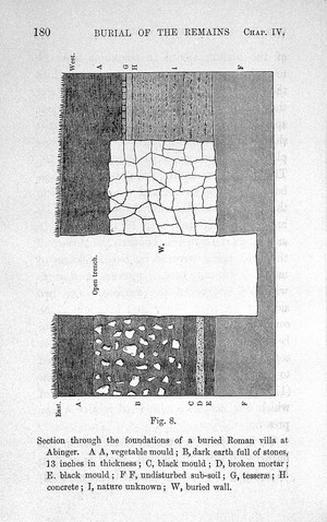 view C. Darwin, The Formation of Vegetable Mould