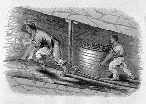 view The physical and moral condition of the chil
