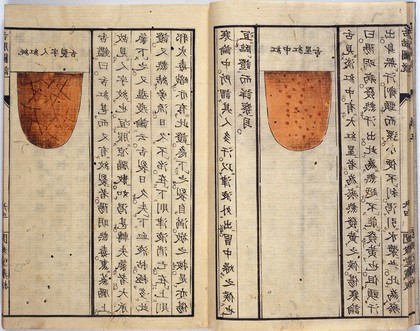 Double page spread from Japanese MS 76