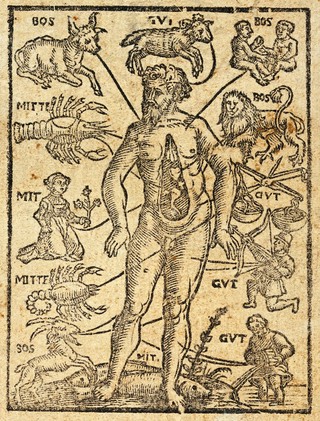 Allmanach auff das 1581 jar ... / Durch Petrum Slovacium gestellet auff den Meridian der kayserlichen Stadt Breslaw.