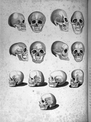 J.C.Lavater, Essays on Physiognomy design to