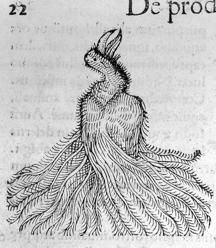 Conradus Lycosthenes, Prodigiorum ac ostento