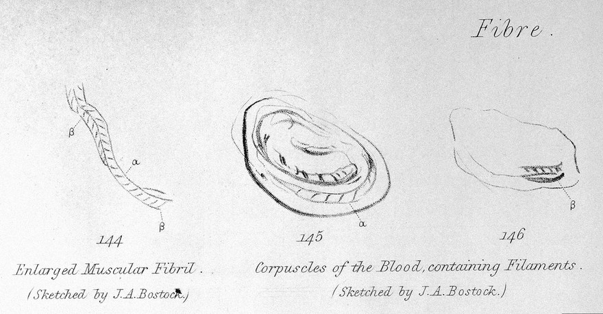 Philosophical Transactions of the Royal Soc.