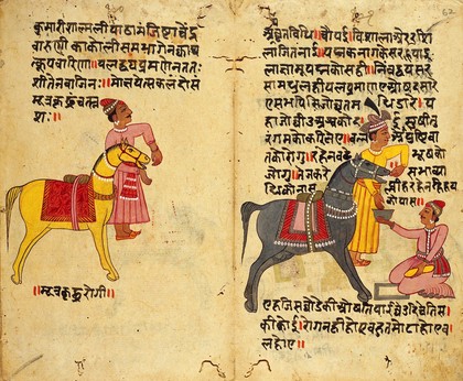 Asvacikitsa: Folio 61 verson and 62 recto