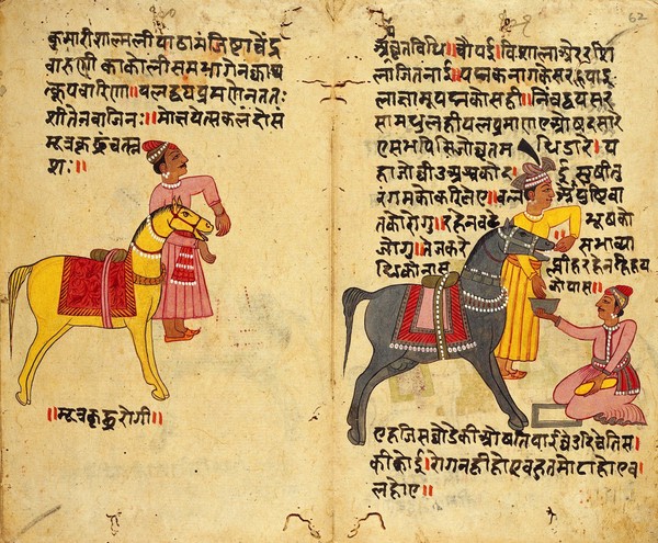 Asvacikitsa: Folio 61 verson and 62 recto