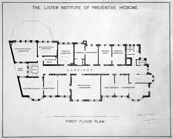 SA/LIS/L.63, first floor plan of the Lister