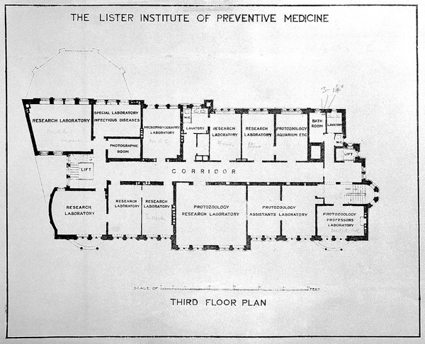 SA/LIS/L.63, third floor plan of the Lister