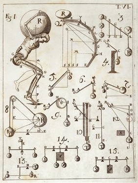 Borelli, De motu animalium, 1734