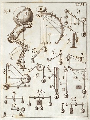 view Borelli, De motu animalium, 1734