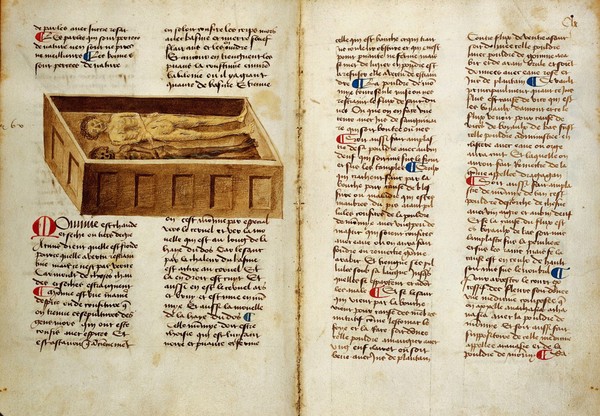 Western Manuscript 626, Platearius