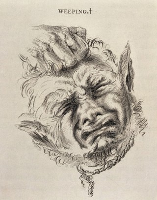 Sir Charles Bell, The anatomy and philosophy