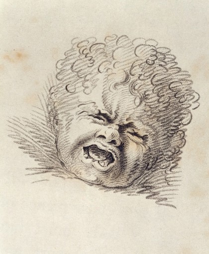 Sir Charles Bell, The anatomy and philosophy