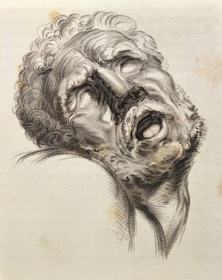 Sir Charles Bell, The anatomy and philosophy
