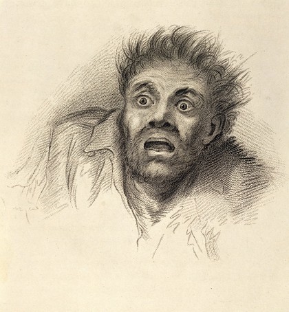 Sir Charles Bell, The anatomy and philosophy