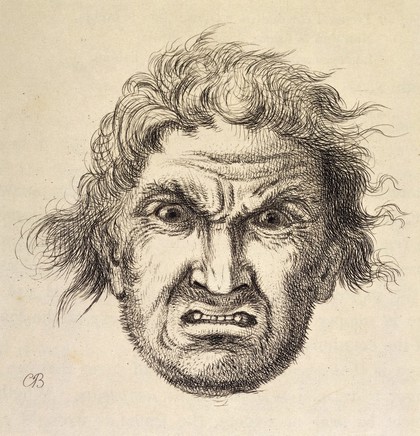 Sir Charles Bell, The anatomy and philosophy