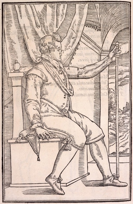 Gasparo Tagliacozzi, De curtorum chirurgia p