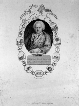 The Great Chain of Being, eng. Caldwell, 1802