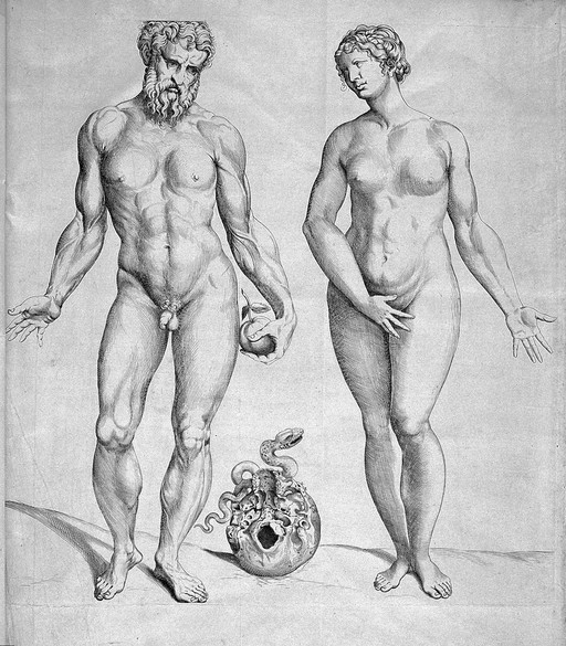 T. Geminus, Compendiosa totius anatomie deli