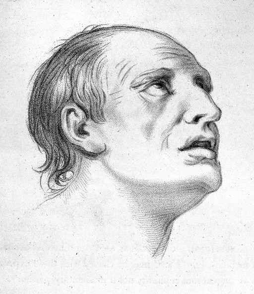 Charles Bell, Essays on the anatomy of