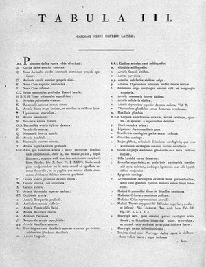 view NEUROLOGY: Tabulae Neurologicae