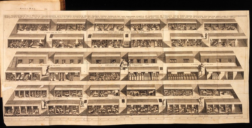 Arca Noë, in tres libros digesta, quorum I. De rebus quæ ante diluvium, II. De iis, quæ ipso diluvio ejusque duratione, III. De iis, quæ post diluvium a Noëmo gesta sunt, quæ omnia novâ methodo, nec non summa argumentorum varietate, explicantur, et demonstrantur / [Athanasius Kircher].