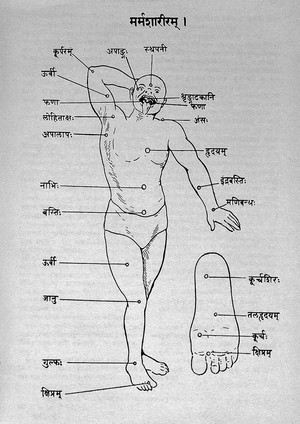 view INDIAN MEDICINE: Astanga Sangraha