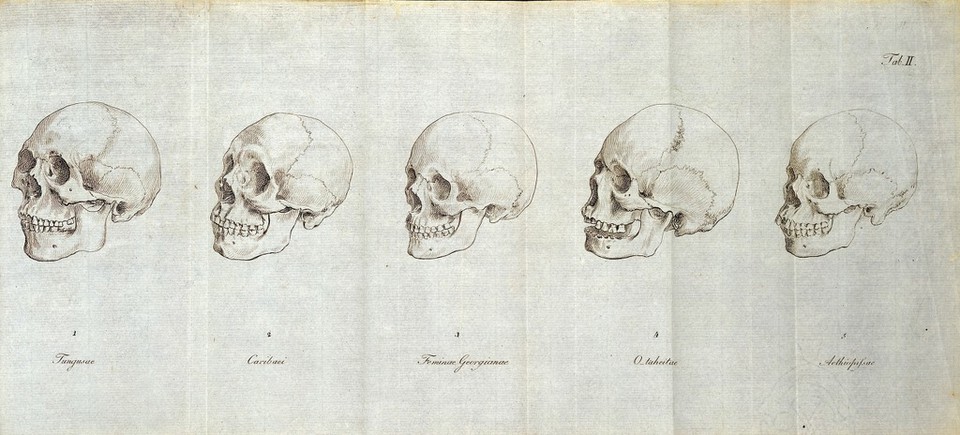 J.F. Blumenbach, De generis humani varietate