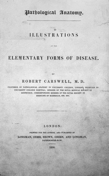 R. Carswell, Pathological anatomy