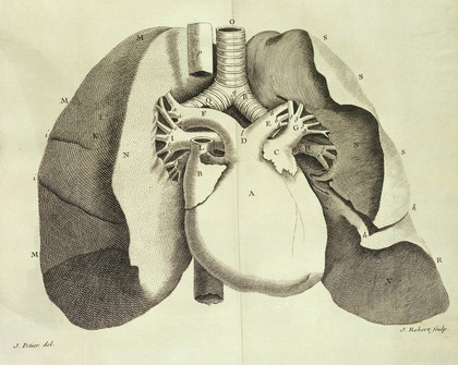 M. Senac, Traite de la structure du coeur