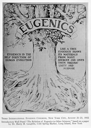 A decade of progress in Eugenics. Scientific