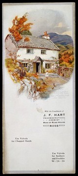 Ephemera: At Oxenfell near Ambleside, Lake D