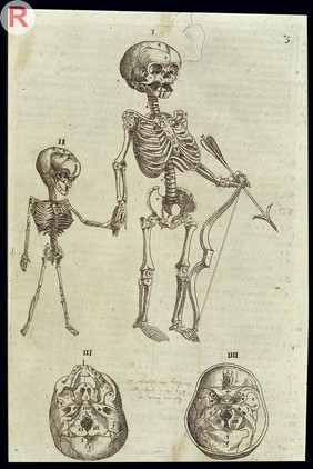 PLATER: De Corporis Humani structure et usu