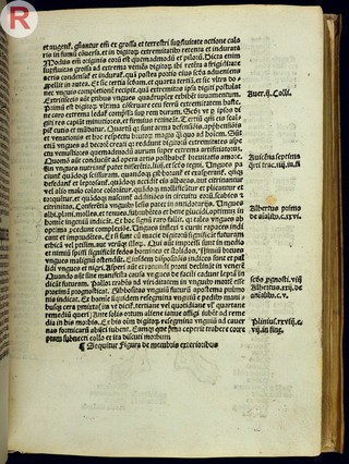 M. Hundt, Antropologium de hominis dignitate