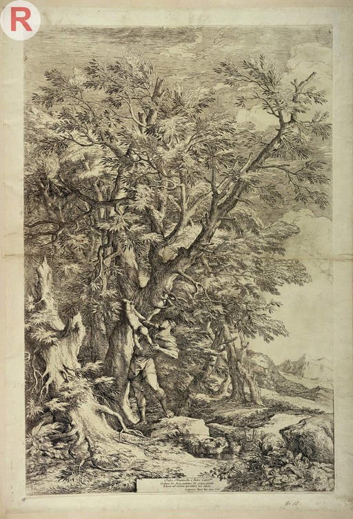 The infant Oedipus is tied to a tree by the shepherd to whom he was entrusted by his parents. Etching by S. Rosa.