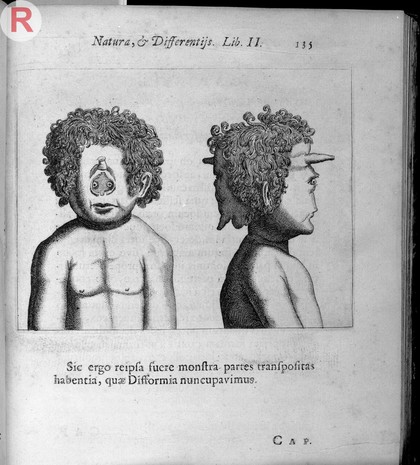 Janus head or two-faced man