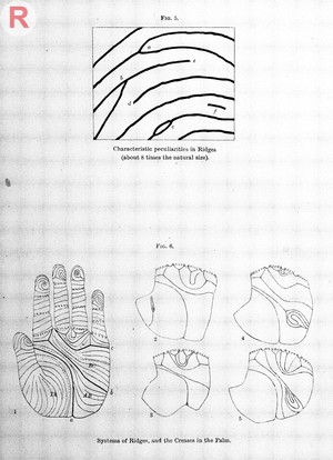 view Francis Galton, Finger prints, 1892