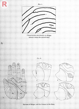 Francis Galton, Finger prints, 1892