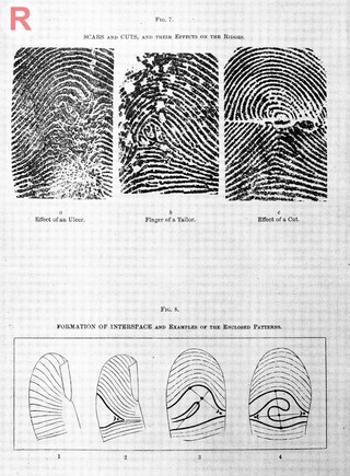 Francis Galton, Finger prints, 1892